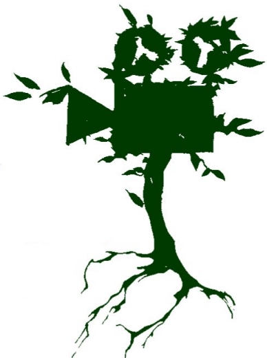 clorofilla