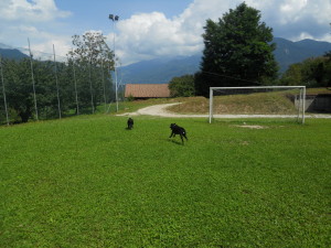 Campo sportivo di Costasavina